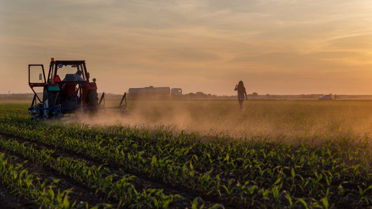 BİTKİSEL ÜRETİMİN BİR ÖNCEKİ YILA GÖRE ARTACAĞI TAHMİN EDİLDİ