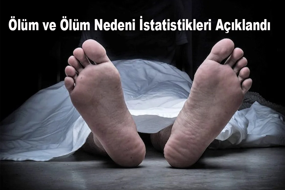 3 bin 766 kişi hayatını kaybetti