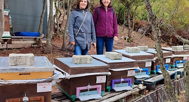 Arılı Kovan Desteği’nden yararlananlar denetlendi