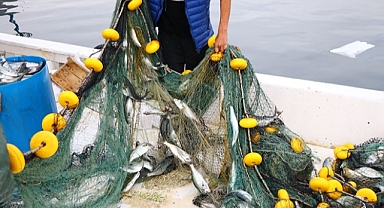 Bereketli Lüfer Avıyla Limana Dönüyorlar...