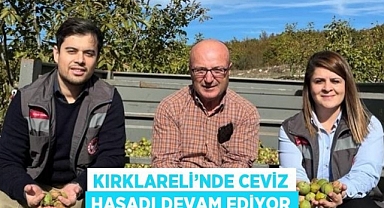 Ceviz Hasadı Başladı...