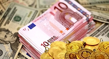 Döviz Kaçakçılığı Operasyonu...