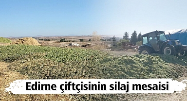 Edirne Çiftçileri İkinci Mahsül Mısırları Silaj Olarak Değerlendiriyor