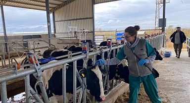 İlçe Tarım ve Orman Müdürlüğü işlemleri titizlikle yürütüyor