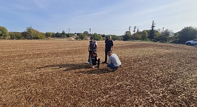 Kanola tohumlarının çıkış kontrolleri yapıldı