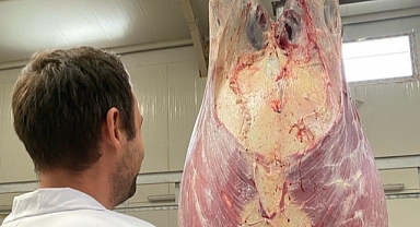 Kesimhanelerde Hijyen ve Sağlık Denetimleri!..