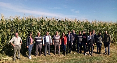 Kırklareli'nin Bereketi Mısırlarla Taçlanıyor...