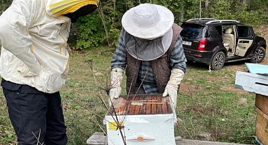 Müdürlük kovan tespitlerine devam ediyor