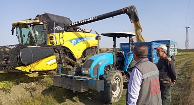 Pehlivanköy’de 2023 çeltik hasadı devam ediyor