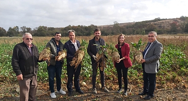 ŞEKER PANCARI TEKRAR REVAÇTA
