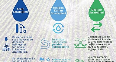 Yeni Adımlar Atılıyor...