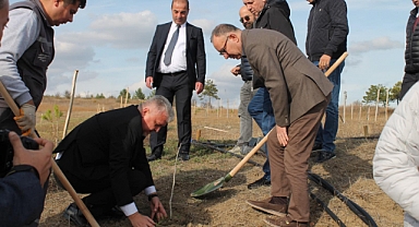 100 fidan toprakla buluştu