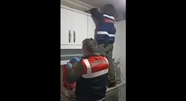 (3) örgüt üyesi, çıkarıldıkları adli mahkemece tutuklandı..