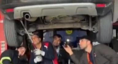 Araç içine sıkışan yılan kurtarıldı