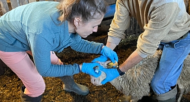 Aşılama çalışmaları hız kesmeden devam ediyor