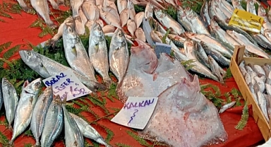 Babaeski’de denetimler devam ediyor