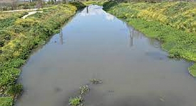 Büyük bir tehlike oluşturuyor...