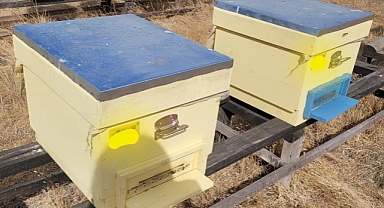 Denetimler devam ediyor