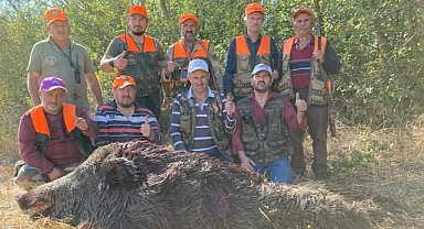 Domuz Özdomuzcular Tarafından Avlandı...