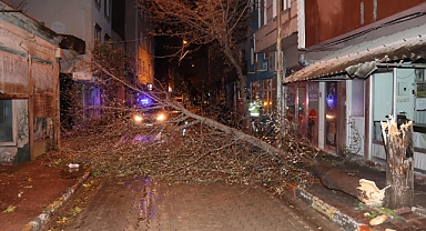 Edirne'de lodos ağaçları devirdi