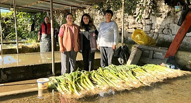 Emekler pazarda meyve verdi!