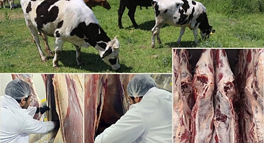 Et muayenesinde önce sağlık!