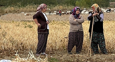 FASULYE MESAİSİ...