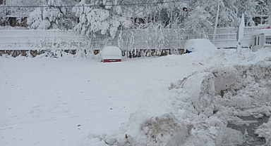 Kırklareli'nde Kar Yağışı Beyaz Örtüyü Getirdi
