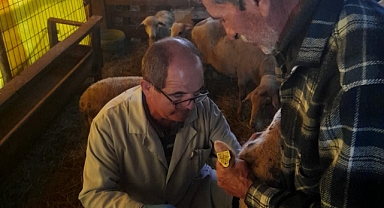 Survey programı düzenlendi