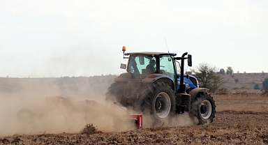 Trakya'da kuru toprağa ekilen buğdaya son yağışlar hayat verdi