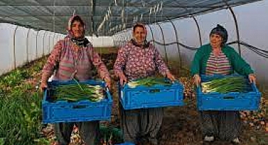 Üreticilere Yüzde 75 Hibe Desteği...