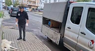 Veteriner İşleri Müdürlüğü gece gündüz çalışıyor