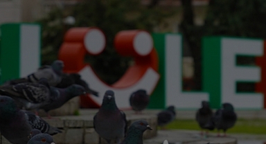 2023'te Lüleburgaz'da ne oldu?