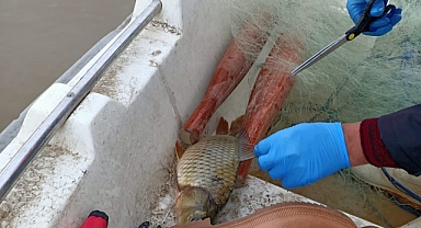 5 Adet Kaçak Balık Ağına El Konuldu