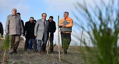 5 yılda 8 binden fazla ağaç toprakla buluşturuldu