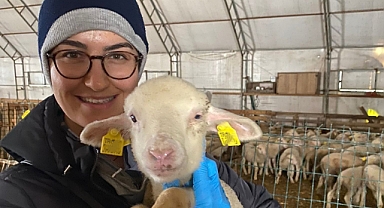 Aşılama çalışmaları devam ediyor