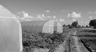 Atıl Seralar Yenilenerek Çiftçilere Destek Sağlanıyor