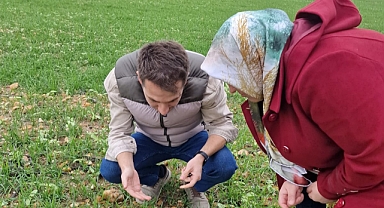 Buğday ve Kanolalar Sağlıklı Bir Gelişim Gösteriyor