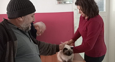 Çip uygulaması devam ediyor