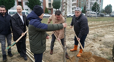 Fidanlar toprakla buluştu