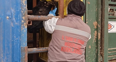 Karantina işlemleri başladı