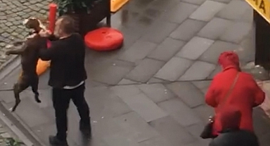 Kucağındaki köpeğe pitbull saldırdı; o anlar kamerada