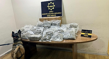 Manavda, sebze ve meyve kasalarının altına gizlenen 15 kilo esrarı 'Larissa' buldu