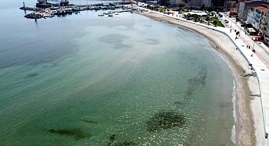 'Marmara Denizi'nde su sıcaklığı 50 yılda 2,5 derece arttı'