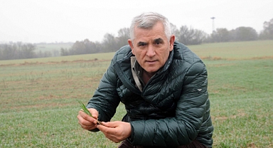 Prof. Dr. Kaya: Buğdayda stres ortadan kalktı, yüksek verim bekleniyor