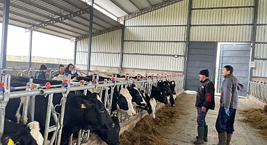 Şap ve çiçek aşılaması uygulandı