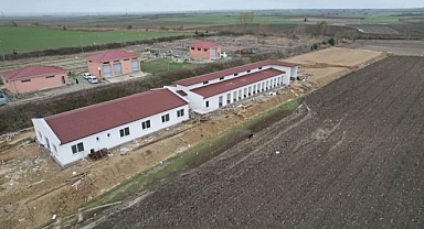 Sokak Hayvanları Geçici Bakımevi ve Rehabilite Merkezi'nde sona yaklaşıldı