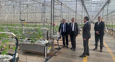 Vali Sezer termal seraları inceledi