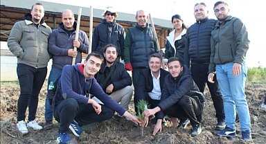 Yüzlerce gül ve fidan dikildi