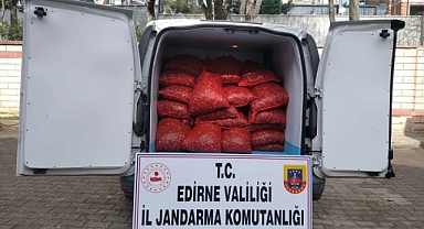 Edirne'de 1 ton kaçak kum midyesi ele geçirildi